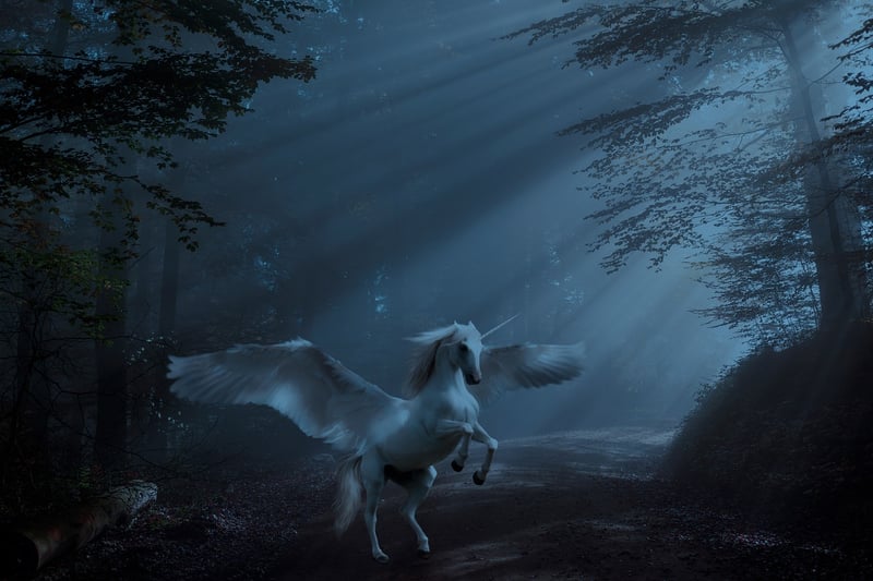 Whimsical Unicorn
